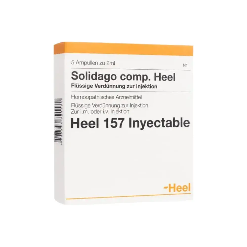 Solidago Comp Heel Ampollas Caja X 5 Ampollas Bonne Santé Group