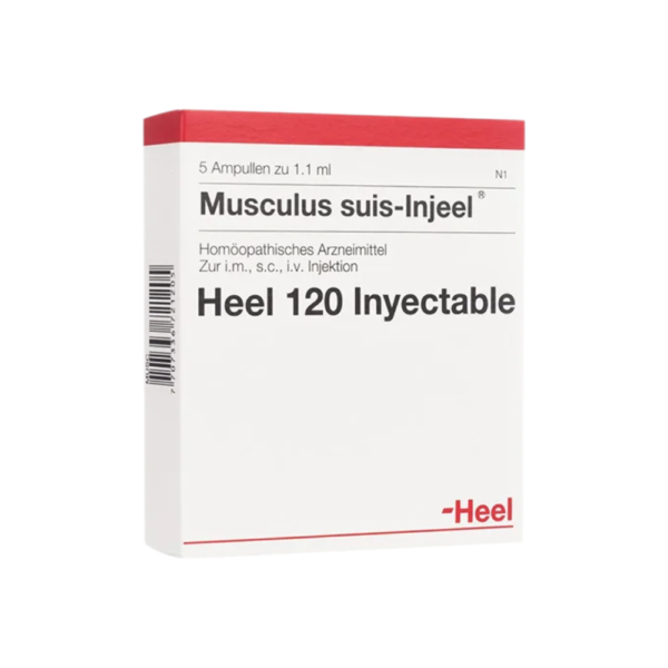 Musculus suis-Injeel | Ampollas | Caja x 5 ampollas 215 | Bonne Santé Group - Productos para el cáncer y VIH